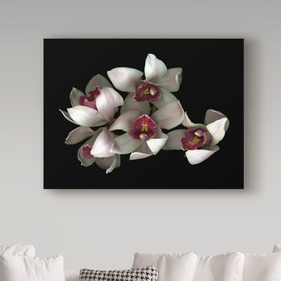 Dosta «Pale Pink and Fuchsia Orchid 2» par Reproduction d'art graphique sur toile tendue