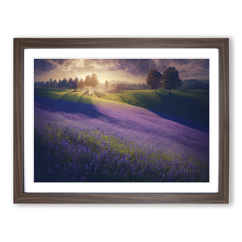 Majestic Bluebell Field - Single Picture Frame Painting, 46cm H x 64cm W x 2cm D, Walnut