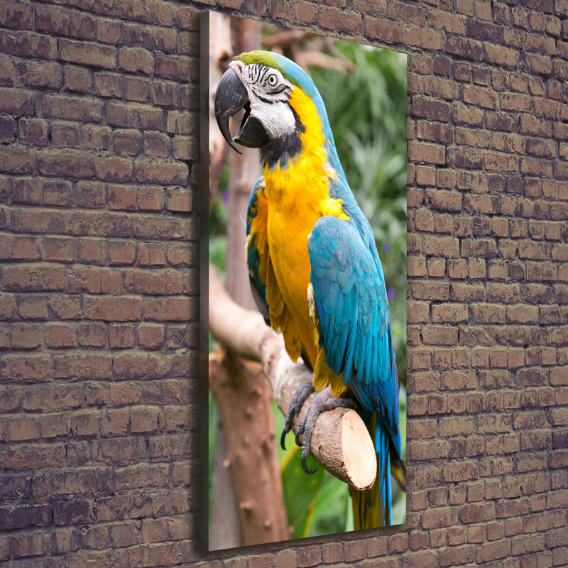 Ara Parrot - Wrapped Canvas Print