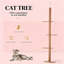 Arbre à chat, centre d'activités pour arbre à chat-126454233