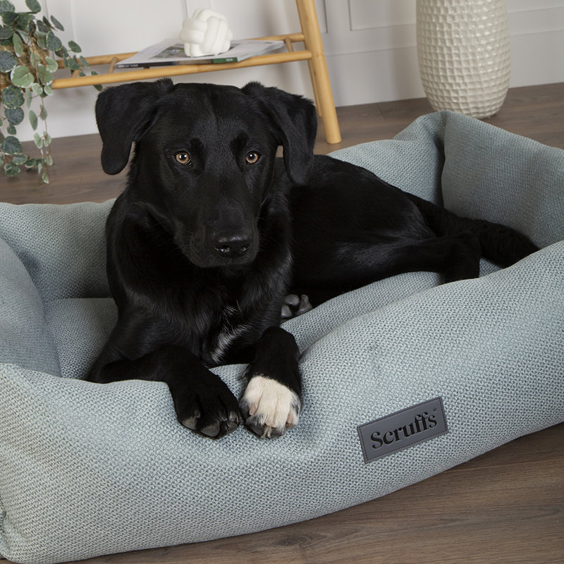 Scruffs Seattle - Luxury Dog & Cat Bed , 21cm H x 60cm W x 50cm D, Topaz Green