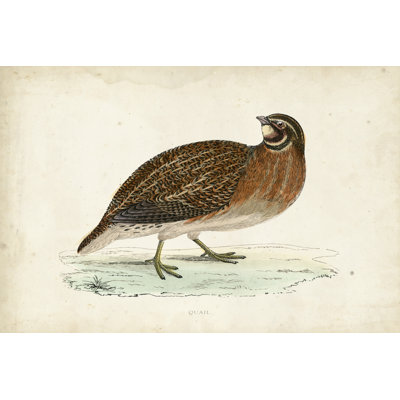 Morris Pheasants IV by Morris - Wrapped Canvas Print