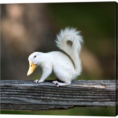 " Duckbilled Squirrel " by Pixelmated Animals