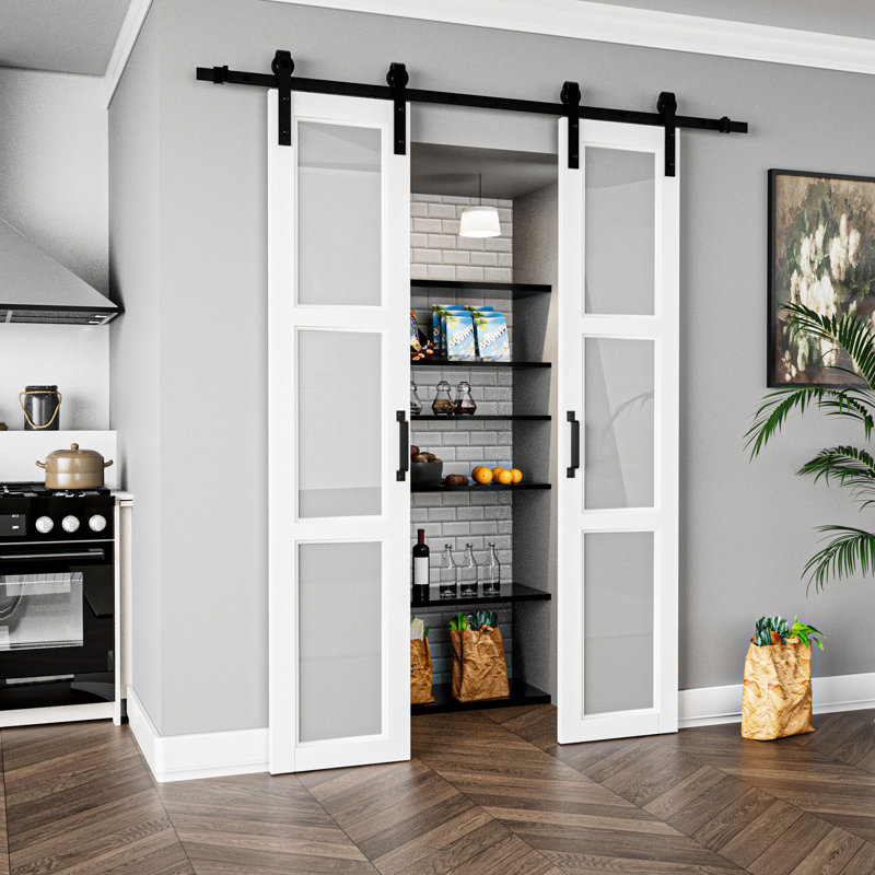 Double Sliding Glass Barn Door with Installation Hardware Kit, 36" x 84"