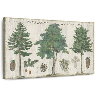 Harnek Woodland Chart I