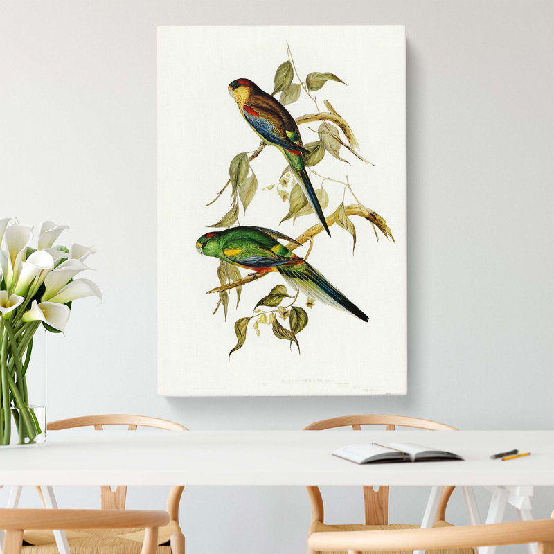 Colourful Parakeets by Elizabeth Gould - Wrapped Canvas, 76cm H x 50cm W x 3cm D