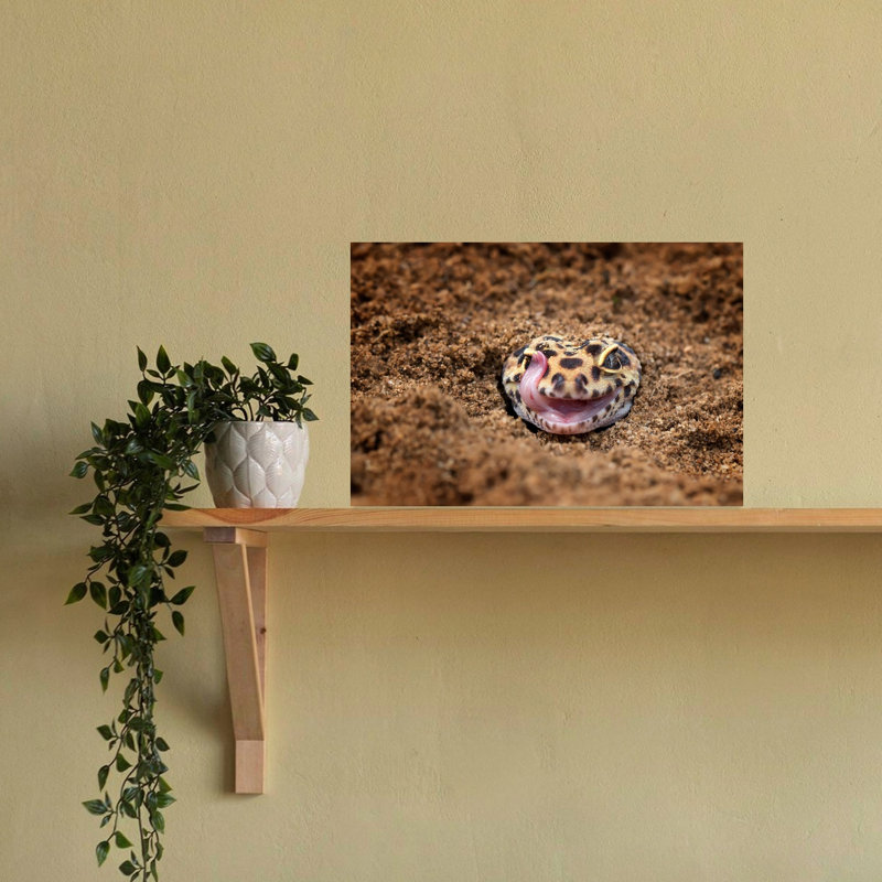 Leopard Gecko Licks Eye Abstract Contemporary Lizard Landscape Nature Wall Art Print by Fauzan Maududdin - Print