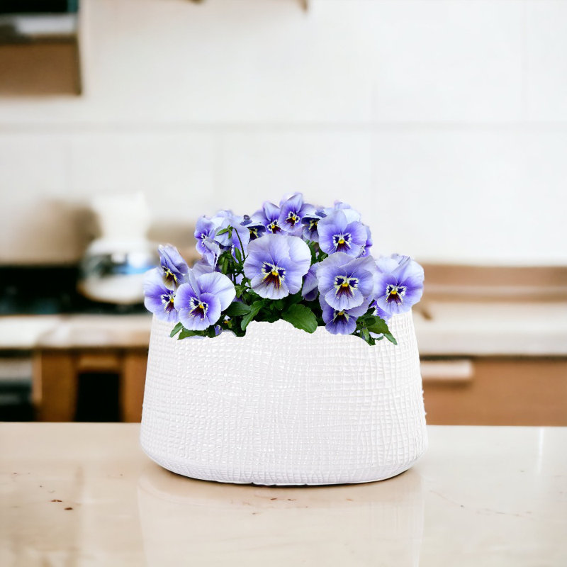 Vase de table en céramique Rajish, Blanc