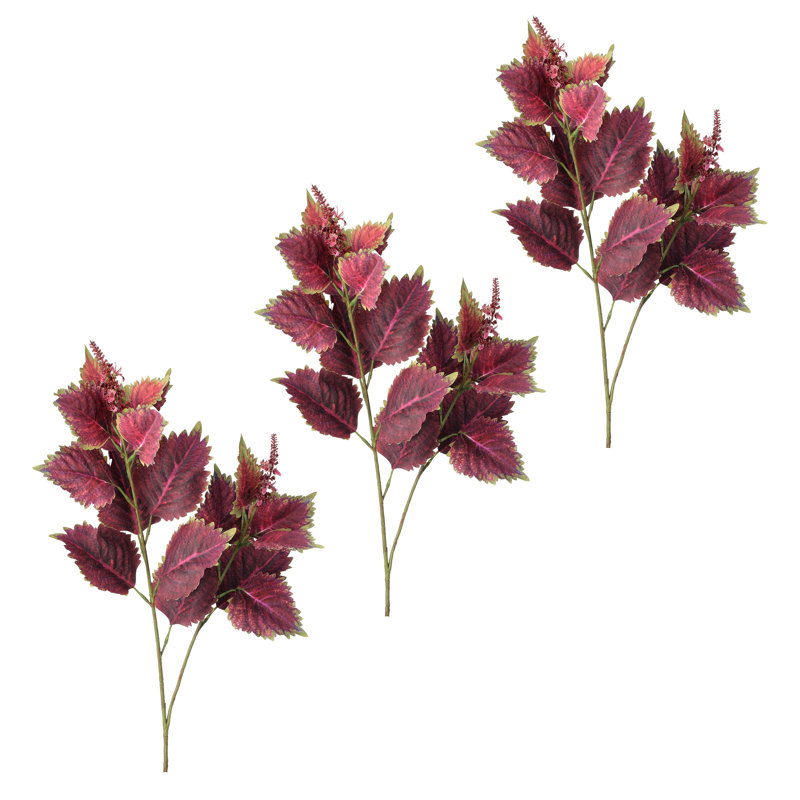 34 po Garden Coleus, Rouge