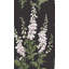 Graham & Brown Foxglove Midnight Wallpaper-896607650