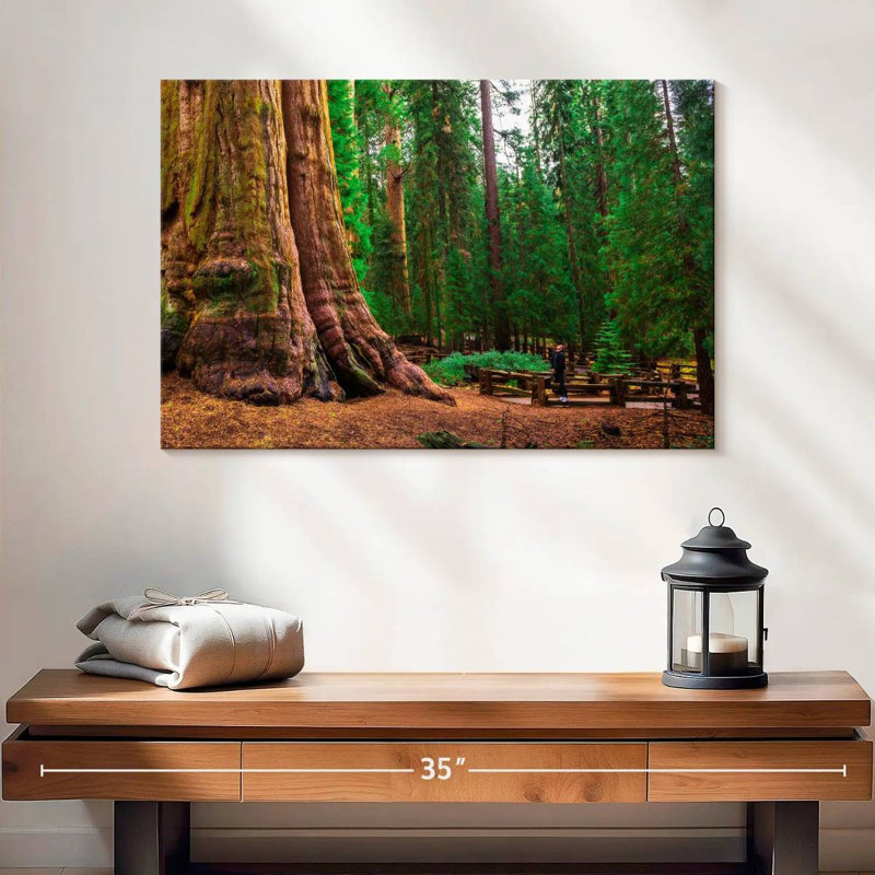 Redwood Harnek, H 16 po x l 24 po