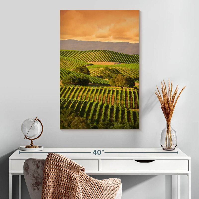 Alvord Carneros Vineyard, H 30 po x l 20 po