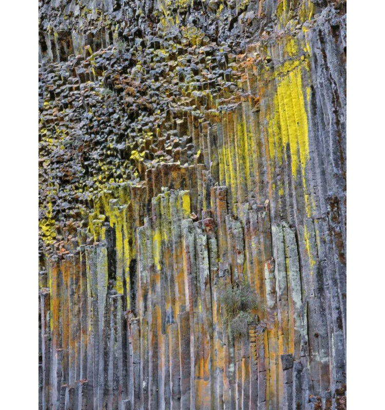 Millwood Pines Terrill, art sur toile tendue par Steve Gallery, OR, basalte colonne recouvert de lichen, H 47 po x l 36 po