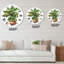 Horloge murale traditionnelle Croton In Clay-60329059