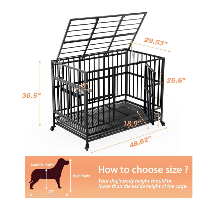 Caisse pour chien polyvalente et robuste avec des caractéristiques avancées pour un entretien optimal