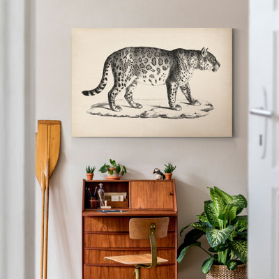 Léopard masculin brodtmann-reproduction sur toile
