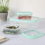 Ensemble de 3 contenants alimentaires Denslow