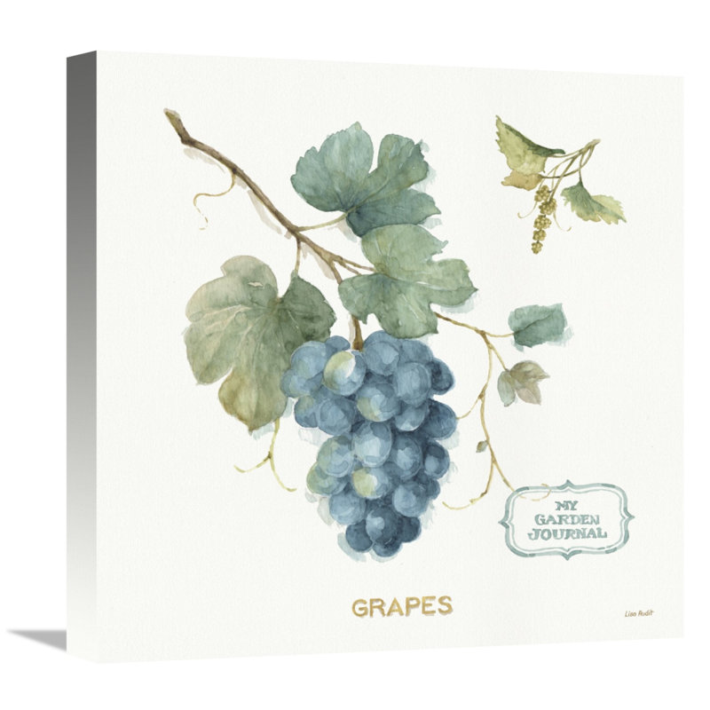 «My Greenhouse Fruit III» par Lisa Audit - reproduction sur toile, Toile tendue, Sans mat, H 48 po x l 48 po x P 1,5 po