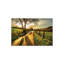 Homeward Bound par Mark Gemmell - impression-76169998-76170224-76170239