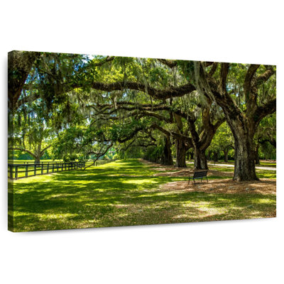 Boone Hall Scenery