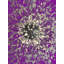 Lustre en cristal Luxe Starburst-264115067-200729699-200729696