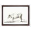 The Portrait of a Cow by Jean Bernard - Picture Frame Drawing Print-55640191-55640194