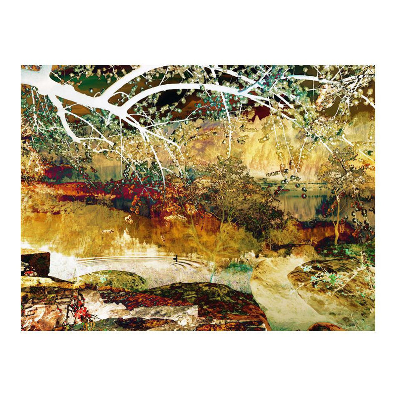 Wall Mural, 121" L x 157" W