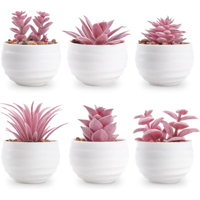 Ensemble de 6 plantes succulentes roses en pots artificiels pour petites filles