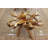 Glass Top Solid Wood Base Dining Table