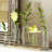 Glass Decorative Bottle-1506147751