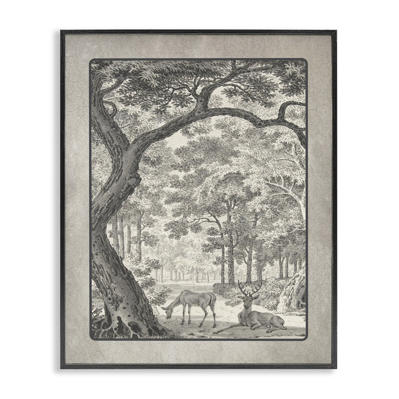 «Lounging Deer in Forest», estampe numérique encadrée, H 14 po x l 11 po, Giclée encadrée noir minuit