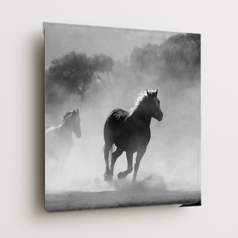 Chevaux sauvages dans la poussière - art mural carré en métal, 12" H x 12" W