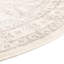 Oriental Area Rug-1654687556