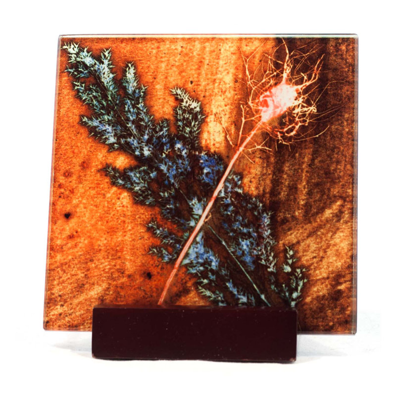 Glass Square 1 Piece Coaster, Golden