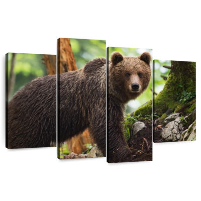 Brampt Wet Grizzly Bear