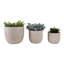 Jardinières Minimalist texturisées en résine