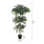 185cm Faux Zamioculcas Tree in Freestanding