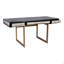 Bureau, polyuréthane à motif chagrin avec structure en chêne noir massif, gris