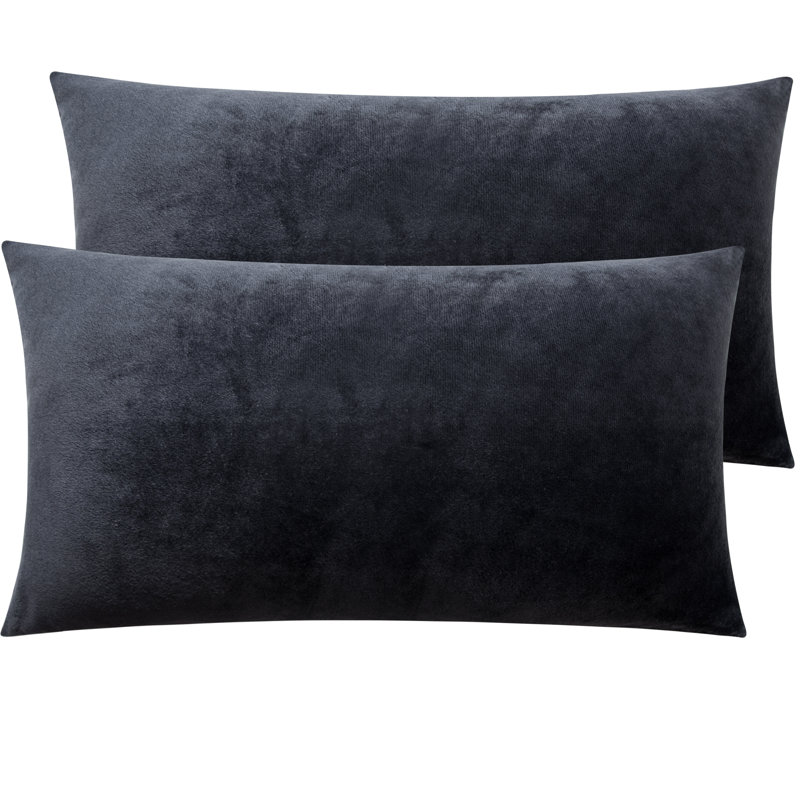 Zippered Pillowcases, Luxury Velvet Flannel Pillow Cases, Super Soft - NTBAY, 20" x 30", Charcoal Gray