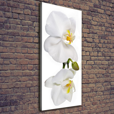 White Orchid - Wrapped Canvas Print