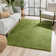 Rainbow Well Sheepskin Shag Green Rug