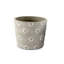 Riaria Planter Box-175819015