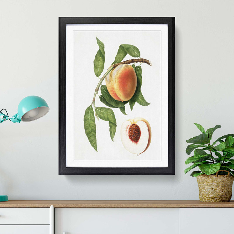 Juicy Peach Tree by Giorgio Gallesio - Picture Frame Graphic Art Print, 65cm H x 48cm W x 2cm D, Black Framed
