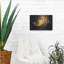 «Burning Bright» par Cecile Baird, art mural en métal-532392651