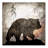" Calling Bear " by LightBoxJournal-21937605