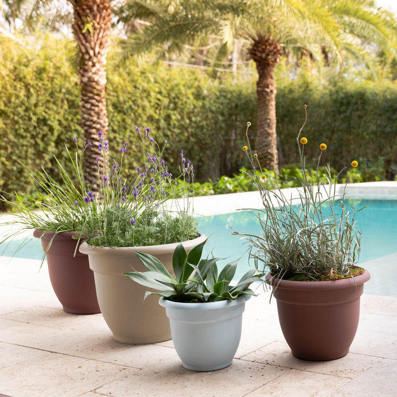 Pot à fleurs intérieur / extérieur Traditional, H 13,75 po x l 17,75 po x P 17,75 po, Brun