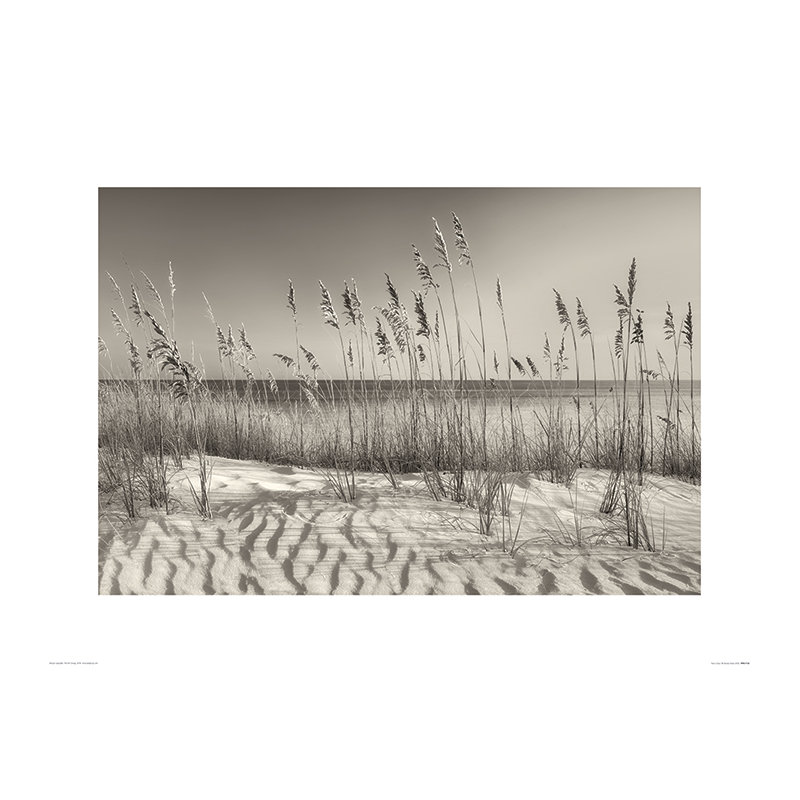 Print on Canvas, Paper
