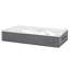 Rebrilliant Bhatade Underbed Storage