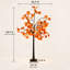 Lampe sur pied