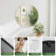 Miroir mural Zailynn-432272387-432272398
